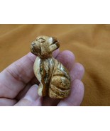 (Y-DOG-CH-563) Tan Jasper CHIHUAHUA Mexican baby dog gemstone carving fi... - $14.01