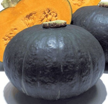 20 Sweet Mama Squash Winter   From US - $7.50