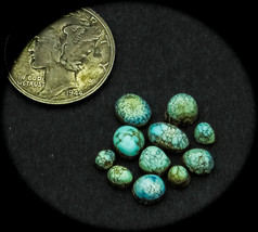 4.0 cwt. Vintage Indian Mountain Lot of 11 Smalls Turquoise Cabochons - £122.74 GBP