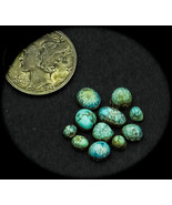 4.0 cwt. Vintage Indian Mountain Lot of 11 Smalls Turquoise Cabochons - £122.95 GBP