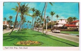 Florida Postcard Palm Beach Royal Palm Way - £1.69 GBP