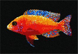 Pepita needlepoint canvas: Fairy Wrasse Fish, 10&quot; x 7&quot; - £37.55 GBP+