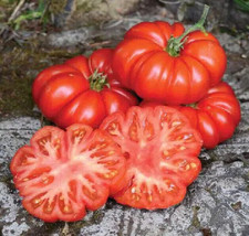 New Fresh 50 Seeds Costoluto Genovese Tomato Juicy Tomatoe Vegetable Garden - $7.00