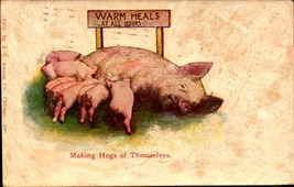 Vintage 1906 UDB Postcard Pig Hogs Warm Meals at All Hours Cartoon Comic BKC - £6.27 GBP