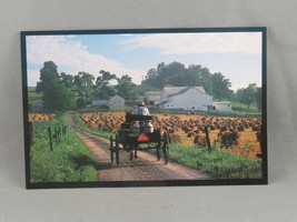 Vintage Postcard - Milk Run Ohio Amish Country - Doyle Yoder - $15.00