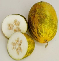 PS Dosakai Dosakaya Cucurbit Melon Vellarikka Indian Cucumber Asia 10 Se... - $166.68 MXN