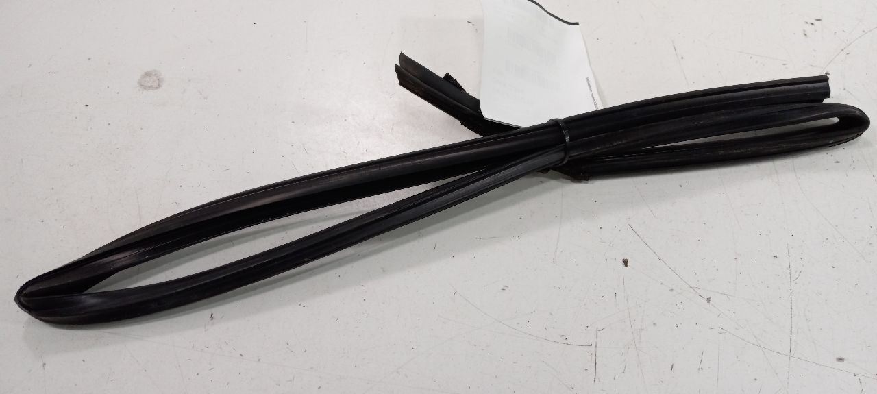 Ford Fiesta Door Glass Window Seal Rubber Left Rear Back 2014 2015 2016  - $34.96