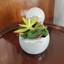 Seal Planter with Live Succulent, Stanley the Seal, Animal Planter Plant Pot image 7
