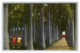 Stately Royal Palms Plantation McKee Gardens  in Florida Postcard Unposted - £3.84 GBP