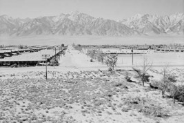 Manzanar from Guard Tower, view west (Sierra Nevada in background), by Ansel Ada - £17.57 GBP+