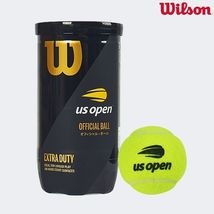 Wilson US Open Tennis Ball 2Balls/Can Racquet Racket Sports Match Ball W... - $24.61
