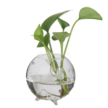 SUNTEK Glass Flower Hydroponic Vase Micro Landscape DIY Bottle Terrarium... - $16.48