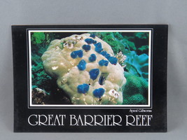 Vintage Postcard - Spiral Grill Worms Great Barrier Reef - Peer Productions - £11.99 GBP