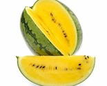 Simple Pack 20 seed Fruit WATERMELON PETITE YELLOW - $8.67