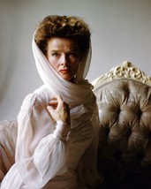 Katharine Hepburn 1969 portrait The Madwoman of Chaillot 24x36 inch poster - $570.90 MXN