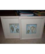 Sea Shells By Annie LaPoint, Printed Wall Art, Ready To Hang Framed EUC - $72.00