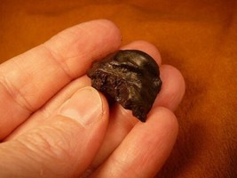 (x206) 19 g Sikhote Alin Russia meteorite Feb 1947 shrapnel fragment spe... - £40.35 GBP