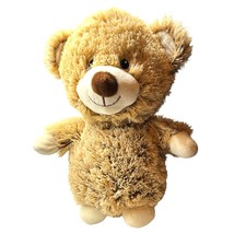 Spark Create Imagine Bear Tan Plush Rattle Crinkle Sensory 12 Inch Stuffed Anima - £11.16 GBP