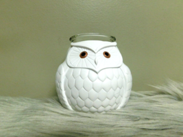 Partylite Nature&#39;s Love Mama Owl White Votive Candle Holder New in Box - $24.74
