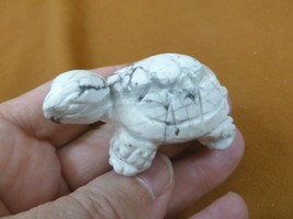 (Y-TUR-LAO-751) White gray TURTLE tortoise carving FIGURINE gemstone tur... - $17.53