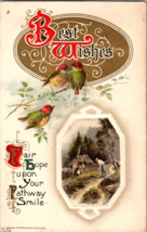Antique  Postcard Winsch Best Wishes Beautiful Birds, c1910, Embossed - £9.77 GBP