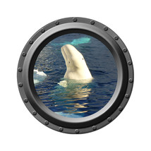 Beluga Whale Design 2 - Porthole Wall Decal - $14.00