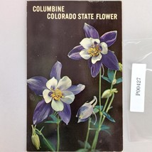 Columbine Colorado State Flower Vintage 1960s Postcard Color Photo - $7.88