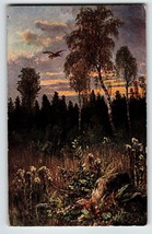 Hunting Season Postcard Flying Bird Clouds Trees Wildlife HKM 315 Germany 1906 - £8.58 GBP