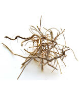 Devil&#39;s Shoestring 1 ounce Bag! - $21.73