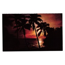 Vintage Postcard Hawaiian Evening Sunset Palm Trees Honolulu Vacation Tropical - £7.44 GBP