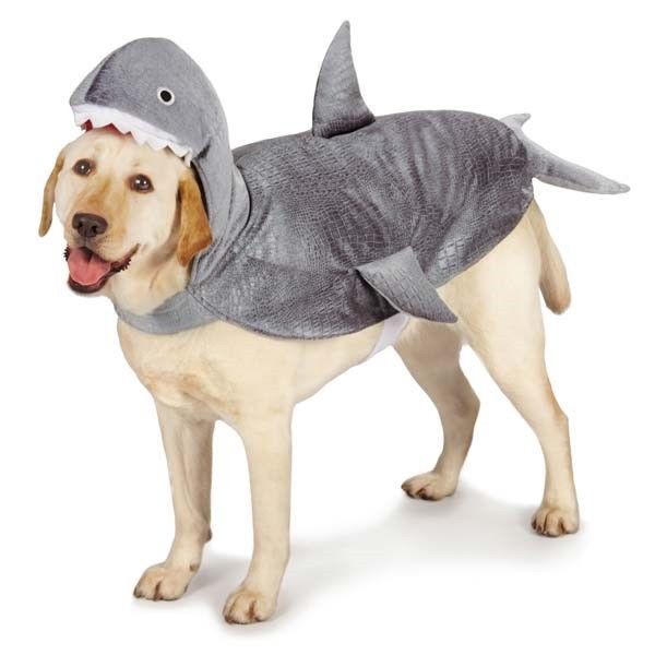 Shark Dog Costume Dress Up Your Pup to Look Like The Ocean's Top Predator EEEK