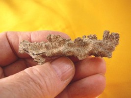 (r353-28) Fulgurite lightning strike beach sand hills glass West Texas specimen - $31.78