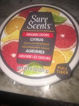 sure scents absorbs odors citrus 8 Oz - £15.73 GBP