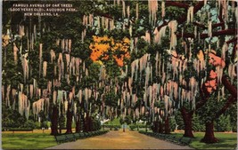 Famous Avenue of Oak Trees New Orleans LA Post Card PC1 - £3.18 GBP