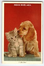 Golden Retriever Puppy Dog &amp; Grey Kitten Cat Postcard Indian River Michigan - $11.70