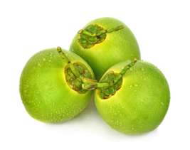 Fresh Green Natural Young Coconuts - £55.15 GBP