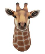 Kenya The Safari Giraffe Head Wall Decor Wildlife Animal Taxidermy 3D Sc... - $656.16 MXN