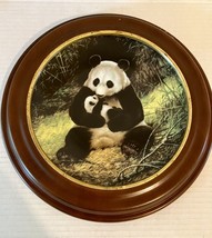 Last Of Their Kind: Endangered Species/The Panda Framed Plate - £9.05 GBP