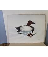 Original Signed Watercolor Duck on Pond by Faggard 12 x 16 Inches - £30.50 GBP