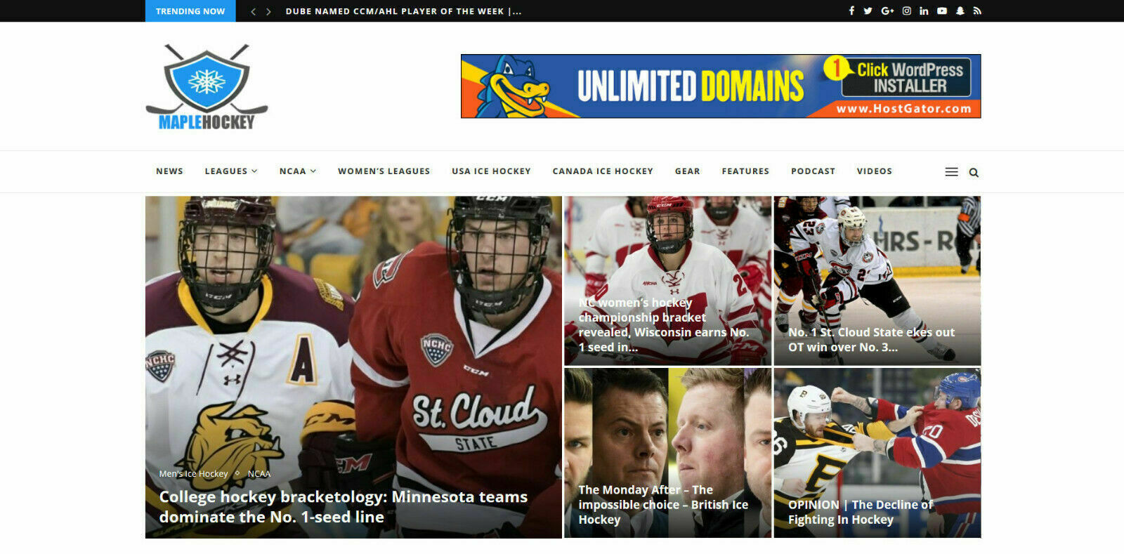Wordpress Automated Ice Hockey News Website - Turnkey Profitable Site - $18.18