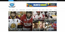 Wordpress Automated Ice Hockey News Website - Turnkey Profitable Site - £14.56 GBP