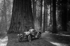 First Auto to Enter Sequoia National Park - Art Print - $21.99+