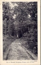 Thompsontown Pennsylvania Through the Woods West of Town 1907 Postcard U13 - £27.49 GBP