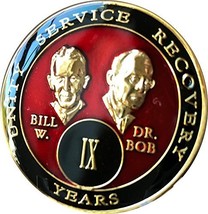 9 Year Founders Red Tri-Plate AA Medallion Bill &amp; Bob Chip IX - £14.79 GBP