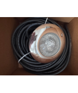 PAC-FAB UNDERWATER 250 W Stainless Steel Pool Light 64-2X5X - $416.79 CAD