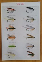 WET FLIES Print #4 - COLOR ILLUSTRATION PLATE PAGE, CABIN FISHING RUSTIC... - $3.31