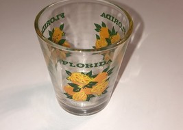 Florida Orange Theme Vintage Souvenir Shot Glass - $6.80