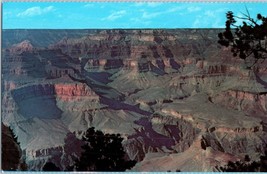 Near Pima Point Grand Canyon National Park Arizona Fred Harvey Postcard - £4.12 GBP