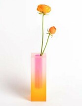 Dreamy Acrylic Flower Pillar Vase - Contemporary Multi-Tone Centerpiece for - €60,62 EUR