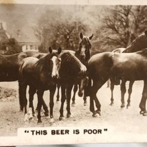 Horses Drinking Tobacco Card Real Photograph Vintage Original - £7.87 GBP